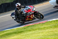 brands-hatch-photographs;brands-no-limits-trackday;cadwell-trackday-photographs;enduro-digital-images;event-digital-images;eventdigitalimages;no-limits-trackdays;peter-wileman-photography;racing-digital-images;trackday-digital-images;trackday-photos